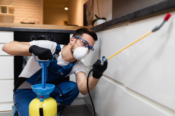 Best Termite Control Services  in Johnsburg, IL