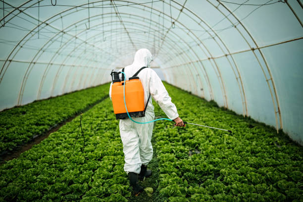 Best Mosquito Control Services  in Johnsburg, IL