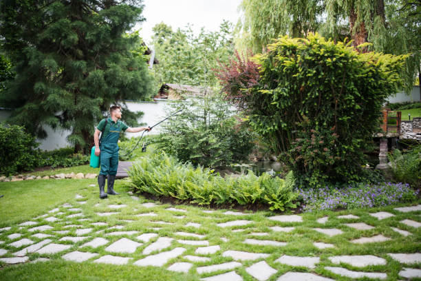 Best Best Pest Control Companies  in Johnsburg, IL