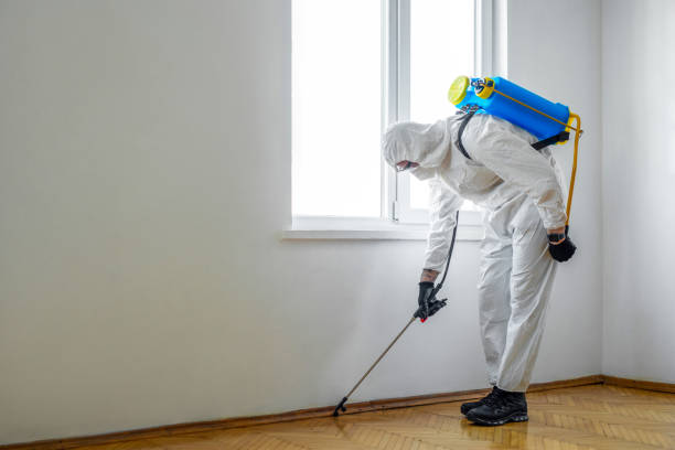 Best Commercial Pest Control Services  in Johnsburg, IL