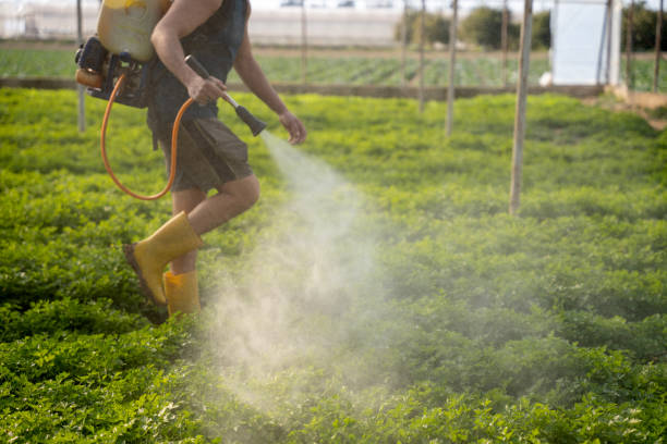 Best Ant Control Services  in Johnsburg, IL