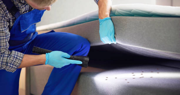 Best Exterminator Services  in Johnsburg, IL