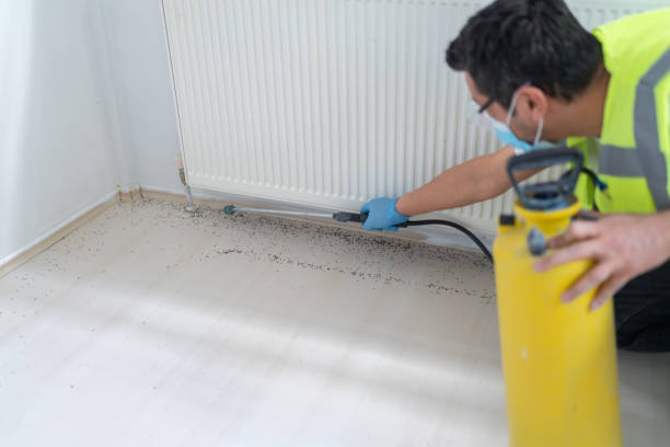 Best Affordable Pest Control Services  in Johnsburg, IL