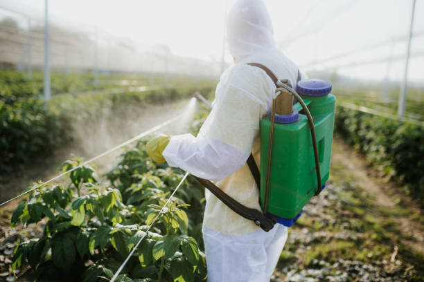 Best Cockroach Control Services  in Johnsburg, IL